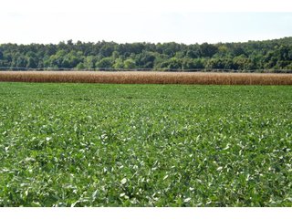 Property photo 33 - REAL ESTATE AUCTION - 1,000+/- ACRES OFFERED IN 10 TRACTS IN PITTSBURG CO., OKLAHOMA